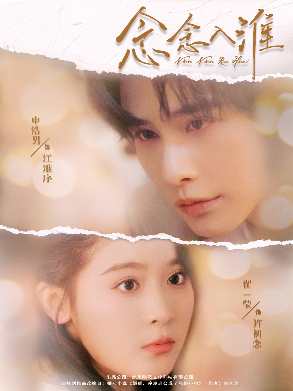 念念入淮海报