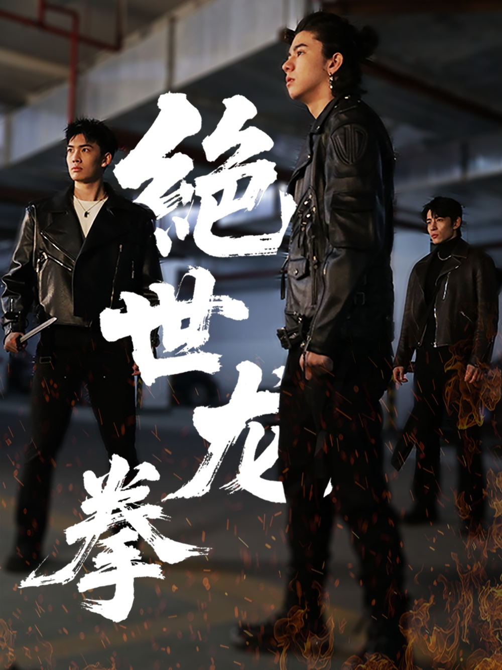 绝世龙拳海报
