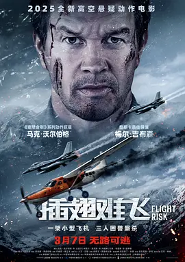 插翅难飞[电影解说]海报