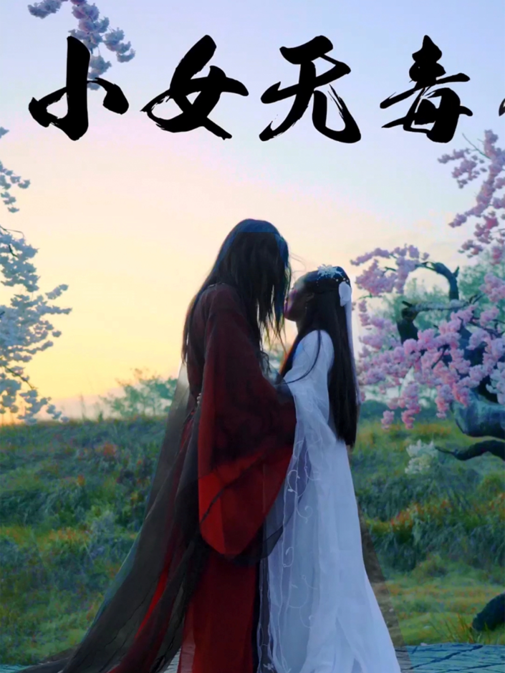 小女无毒海报