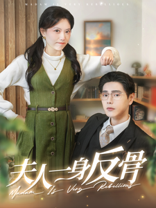 夫人一身反骨海报