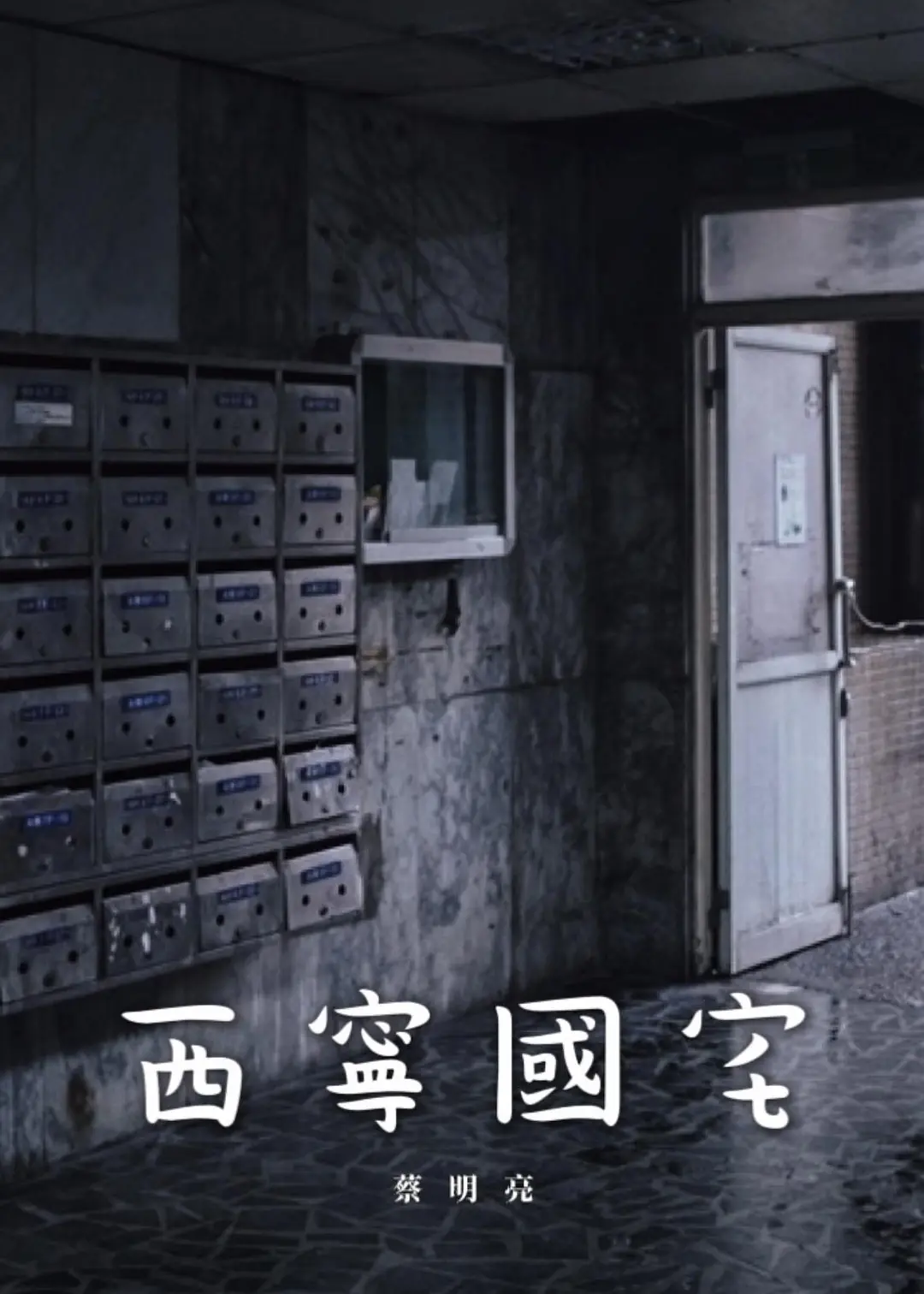 西宁国宅[电影解说]海报