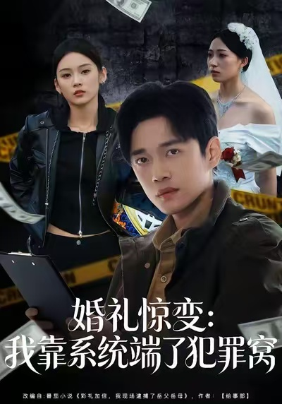婚礼惊变:我靠系统端了犯罪窝海报