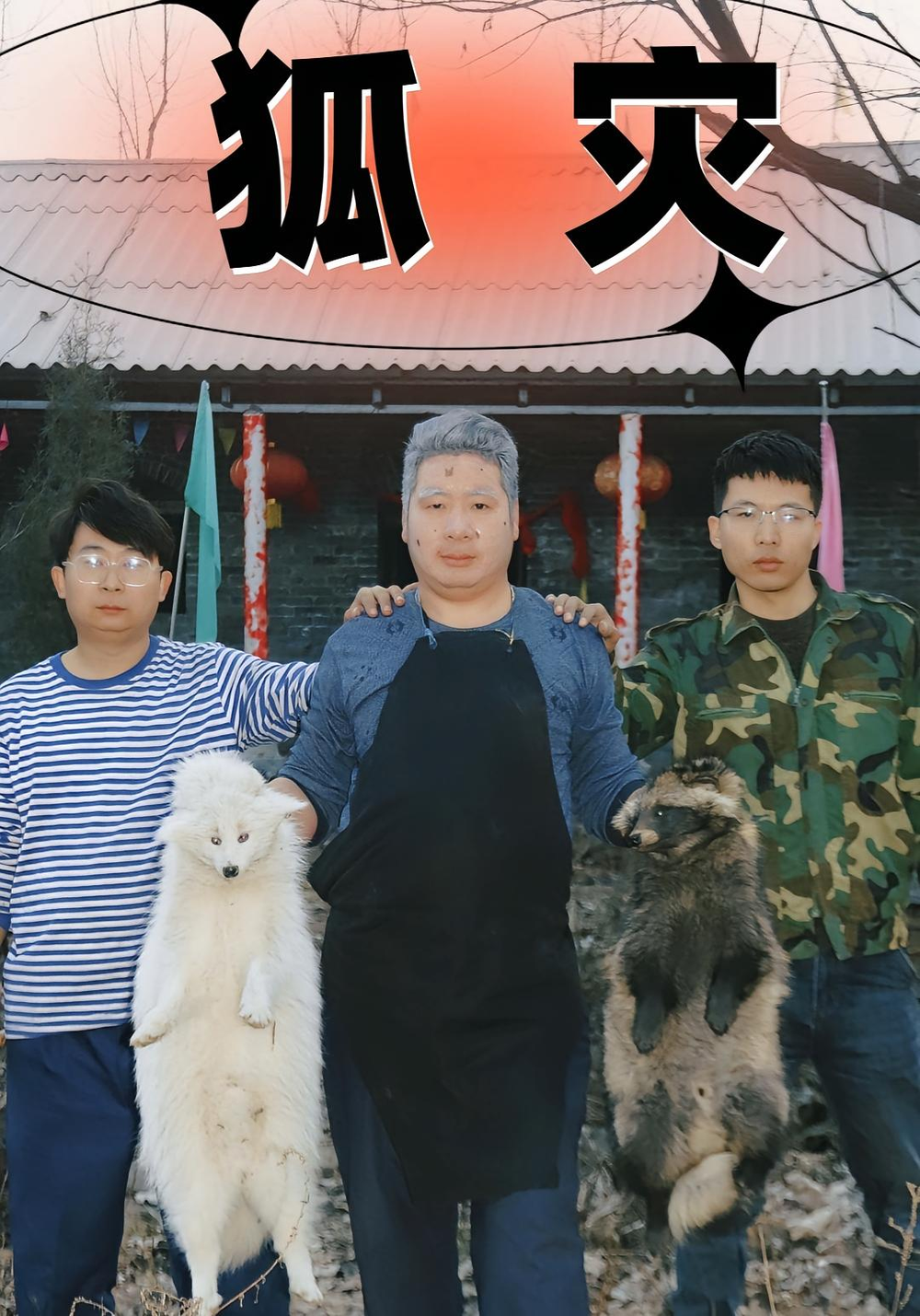 狐灾海报