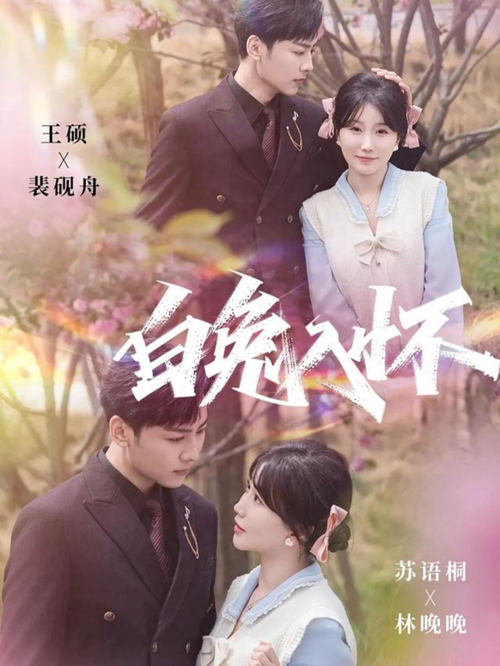 白兔入怀海报