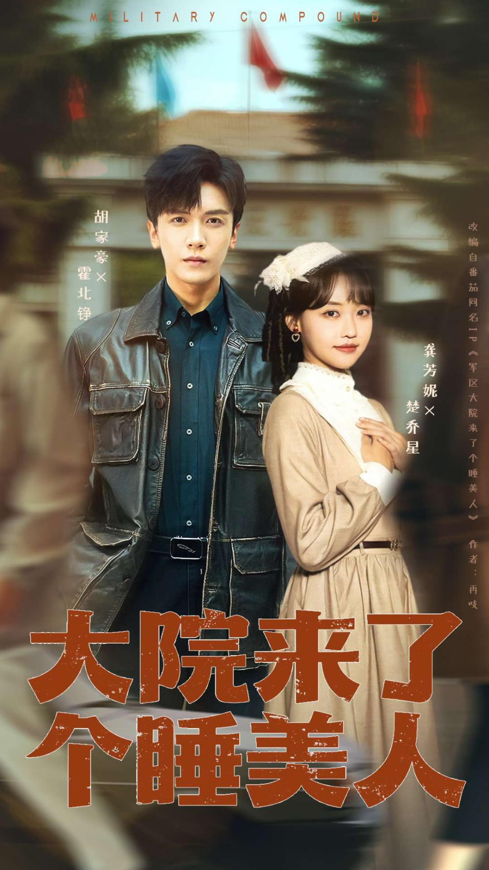 大院来了个睡美人海报