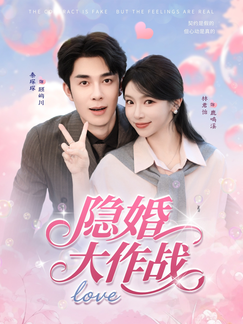 隐婚大作战海报