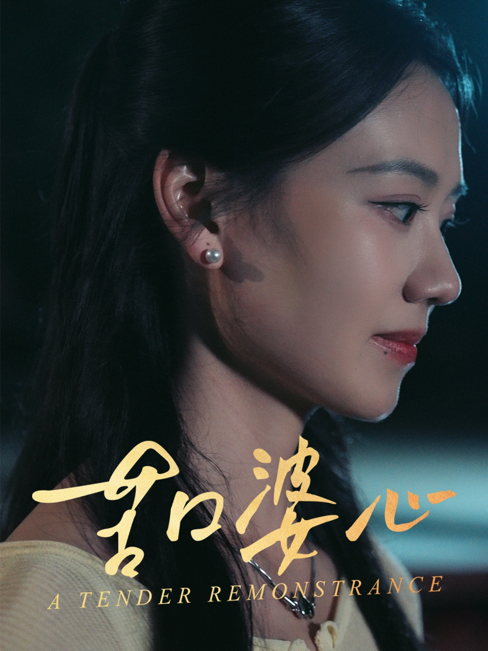苦口婆心海报