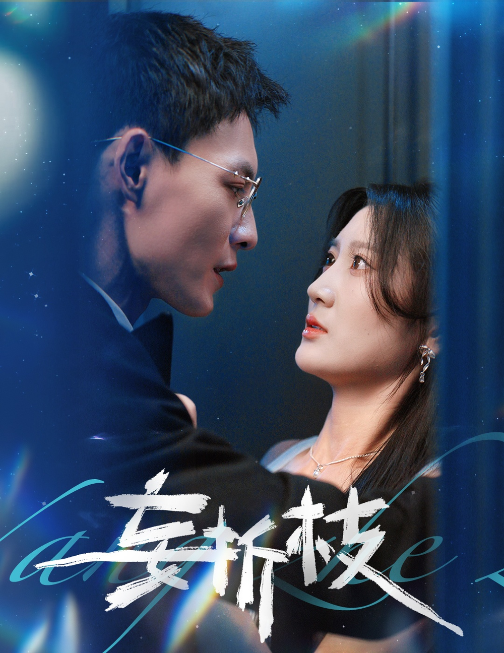 妄折枝海报