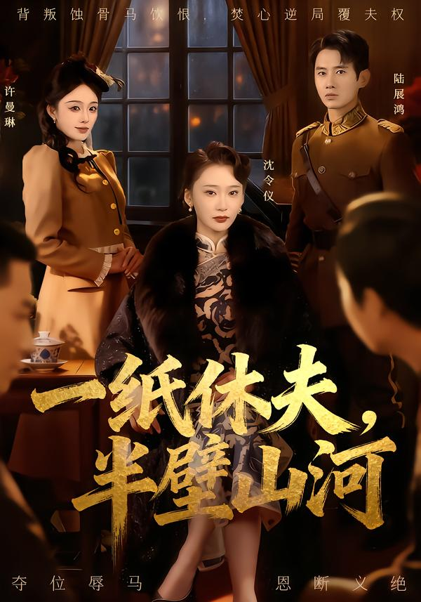 一纸休夫,半壁山河海报