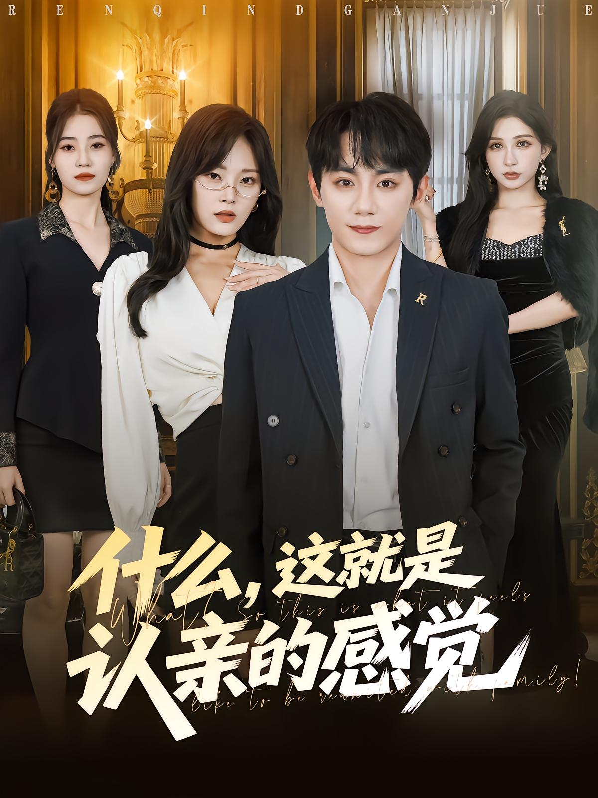 什么,这就是认亲的感觉海报