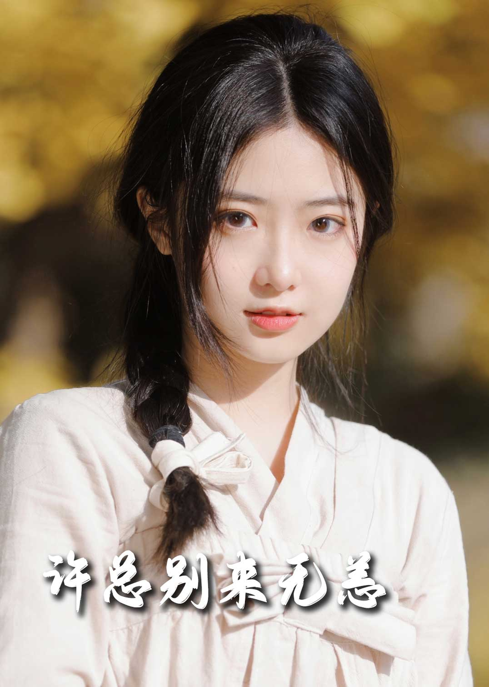 许总别来无恙海报