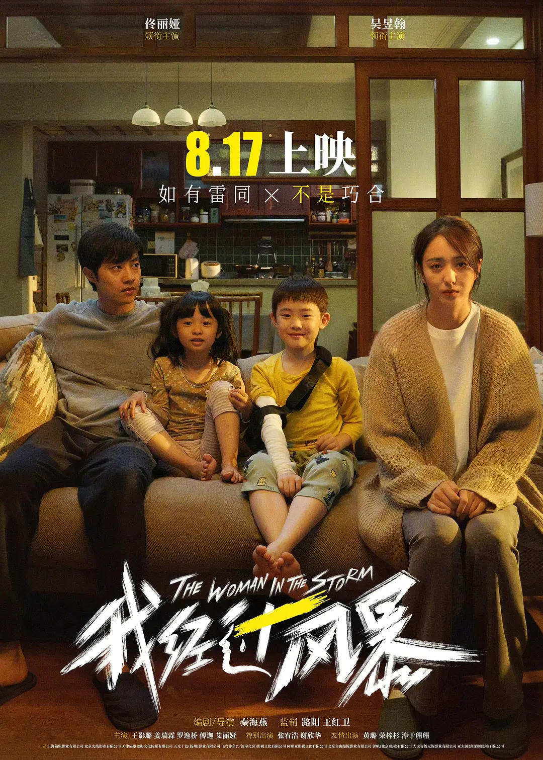 我经过风暴[电影解说]海报