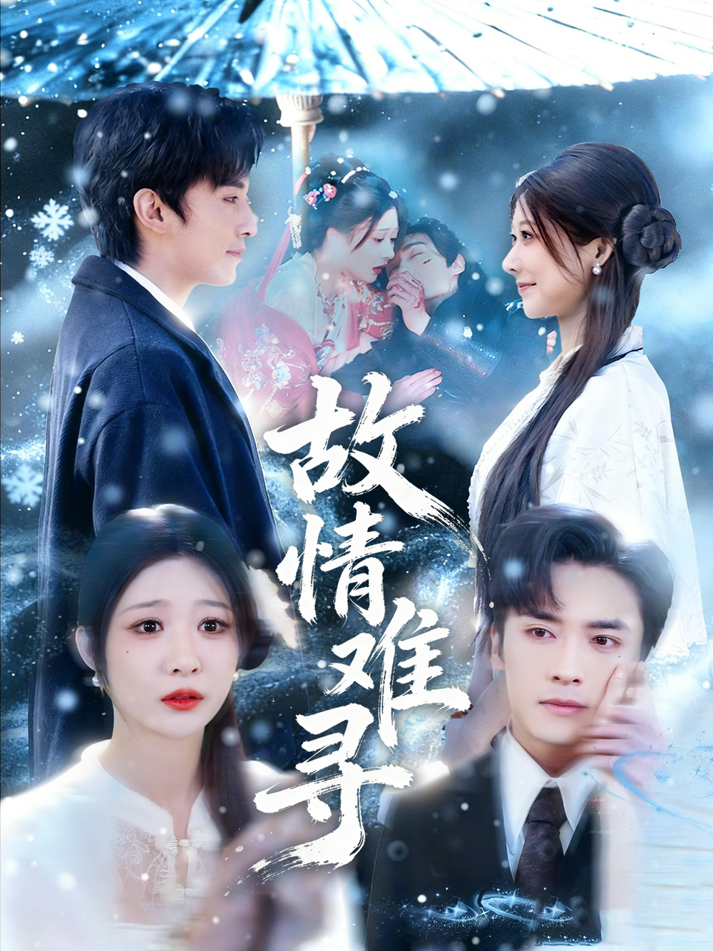 故情难寻海报