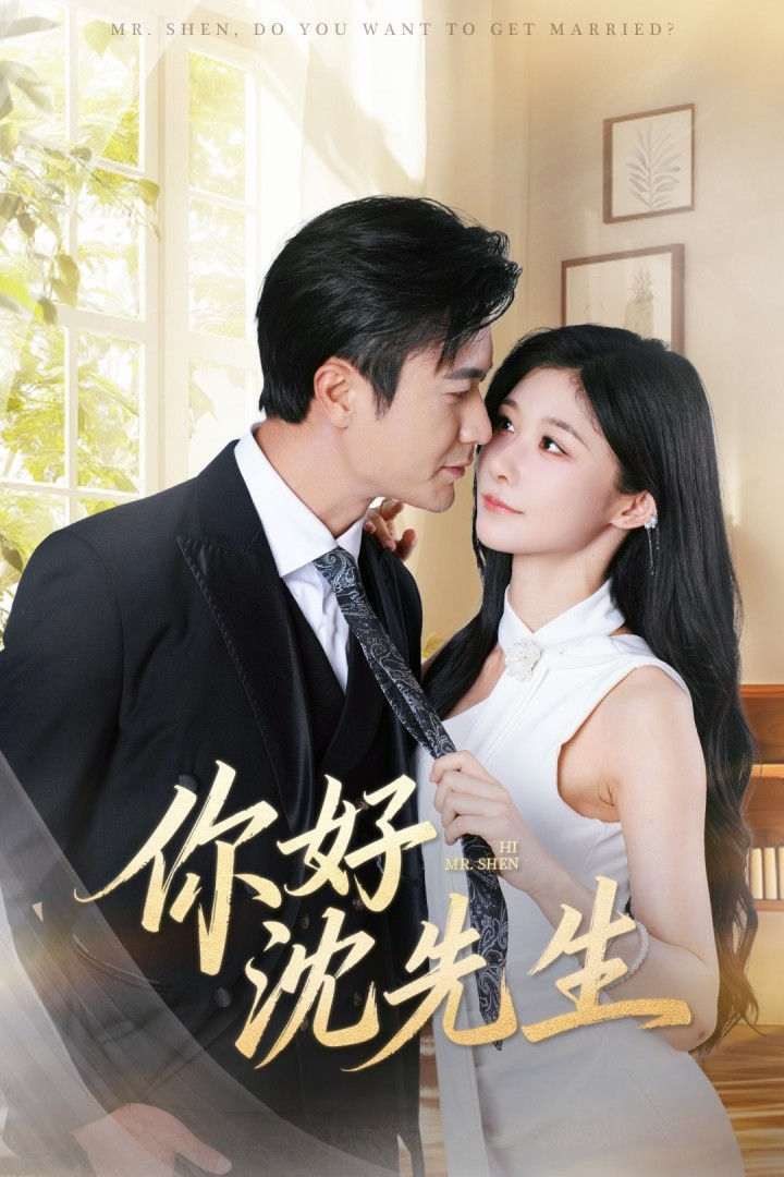 你好沈先生海报
