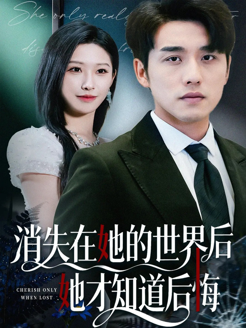 消失在她的世界后她才知道后悔海报