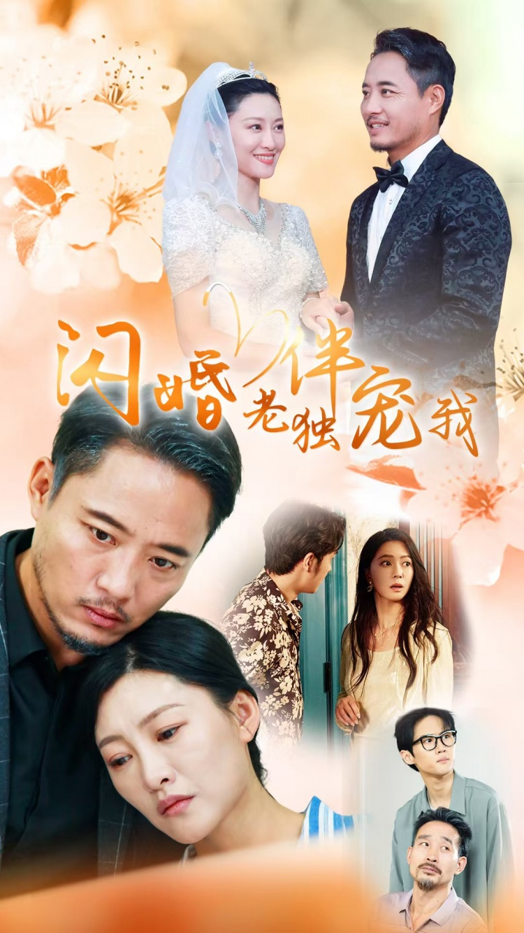 闪婚老伴独宠我海报