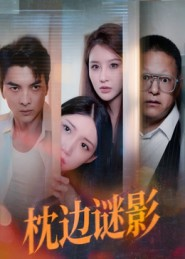 枕边谜影&我撞破了妻子的秘密海报