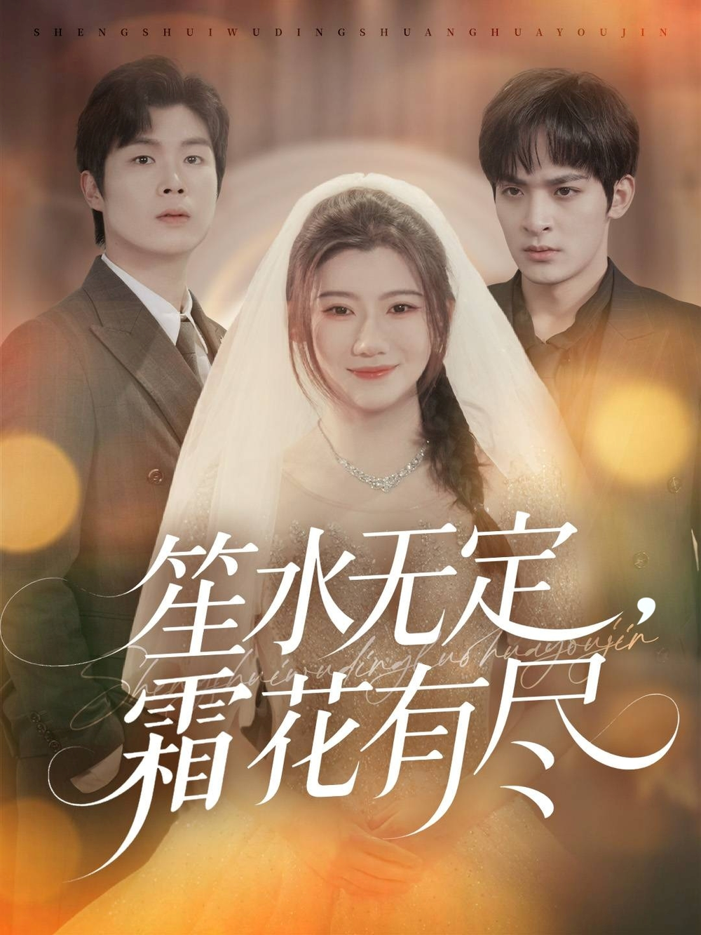 笙水无定，霜花有尽海报