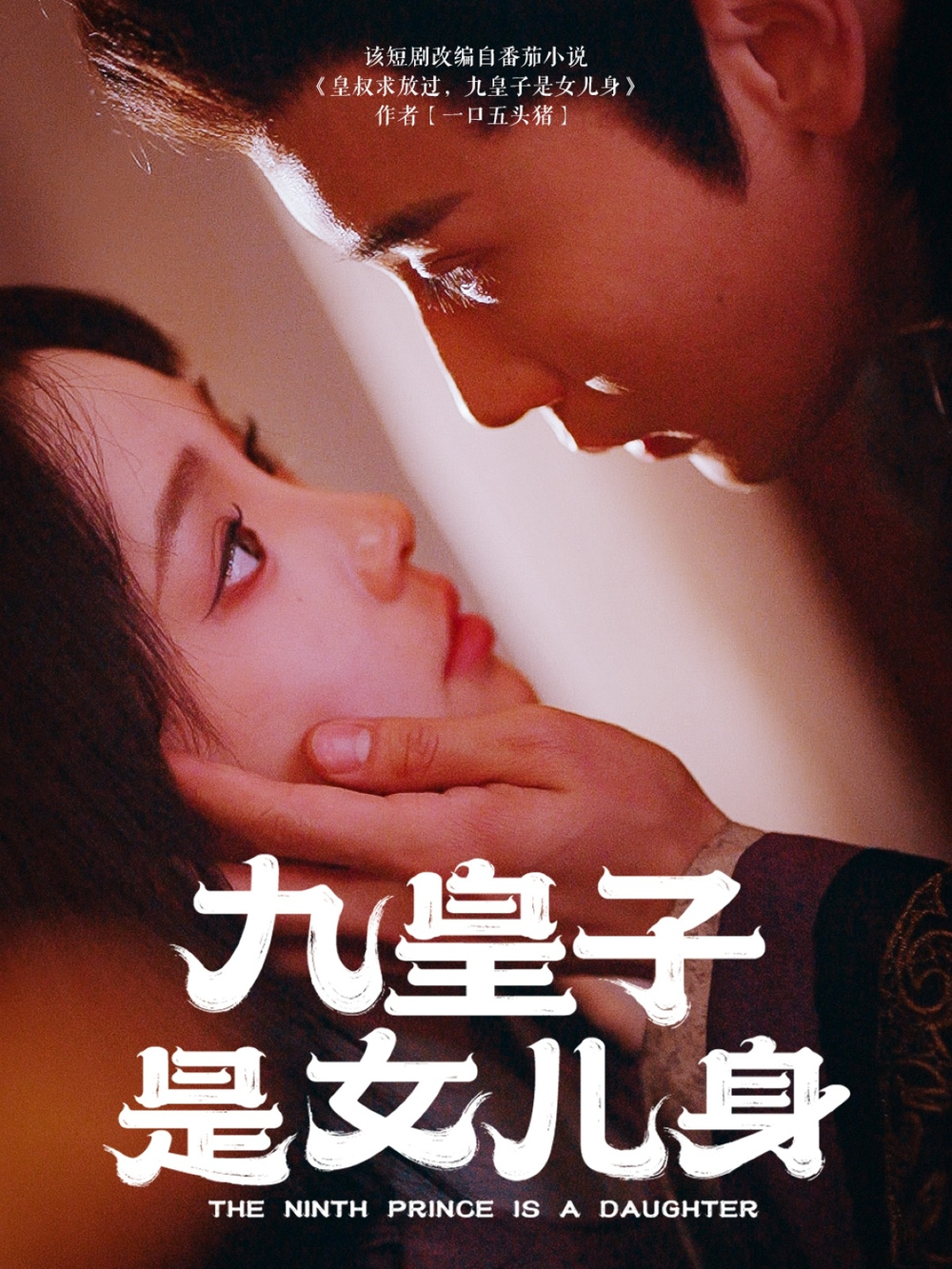九皇子是女儿身海报