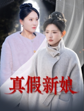 真假新娘海报