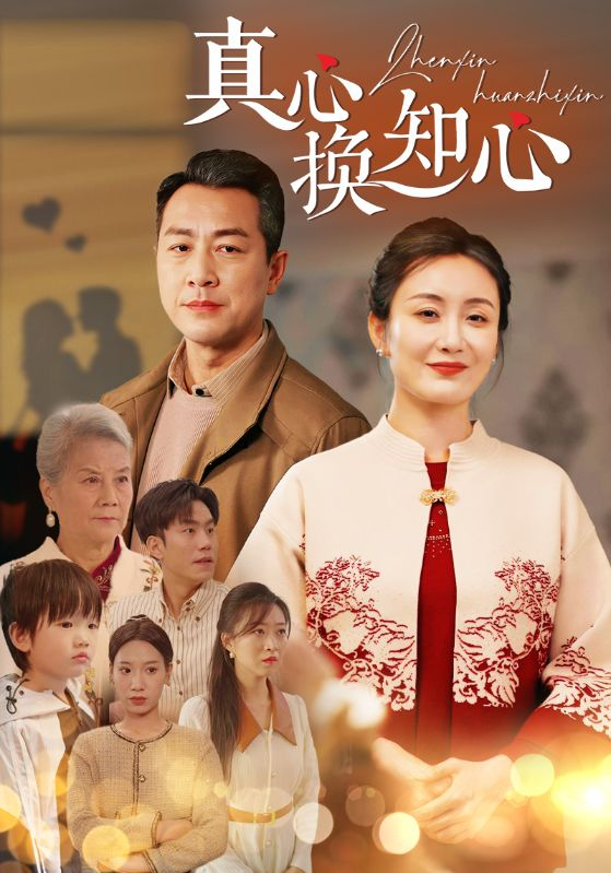 真心换真心海报