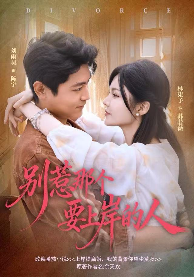 别惹那个要上岸的人海报