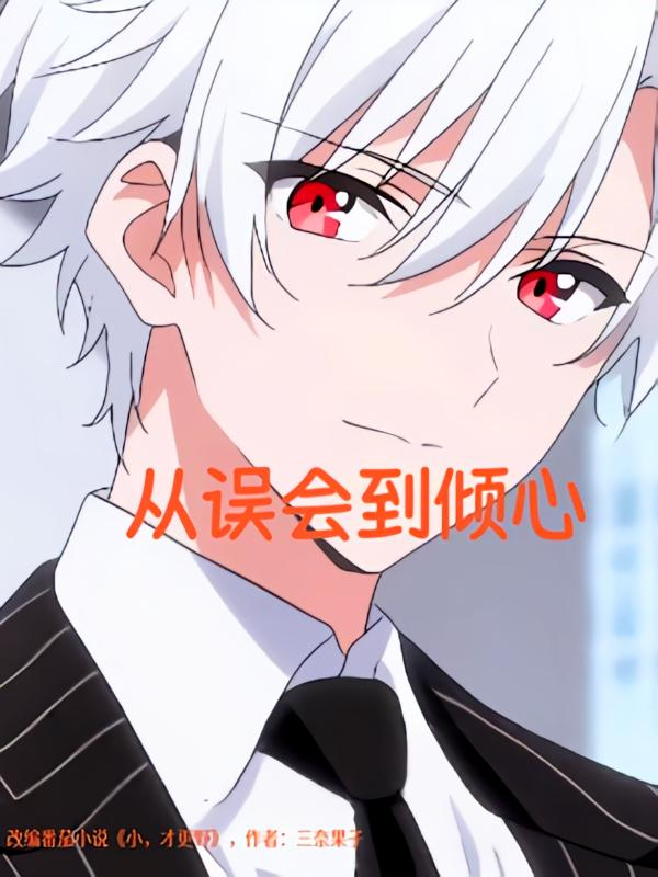 从误会到倾心海报