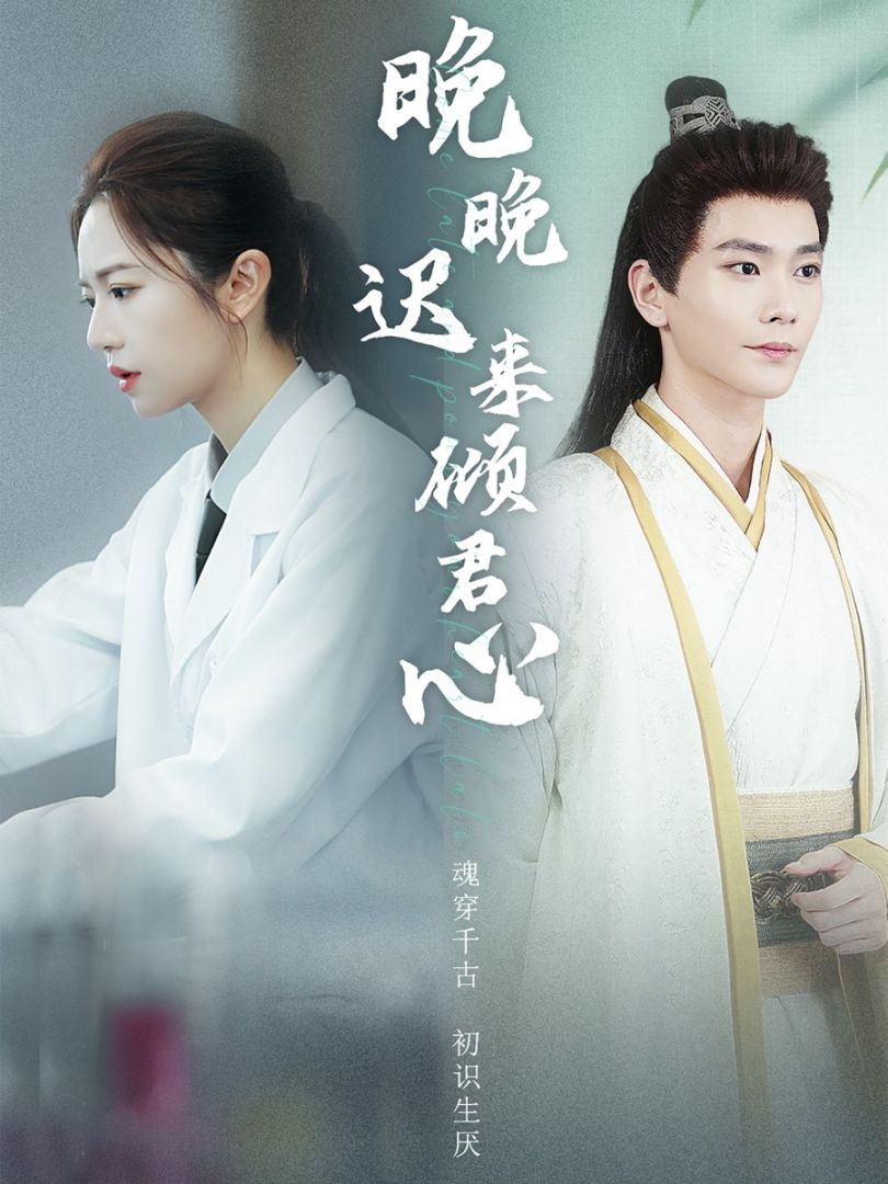 晚晚迟来倾君心海报