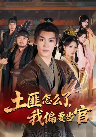 土匪怎么了,我偏要当官海报