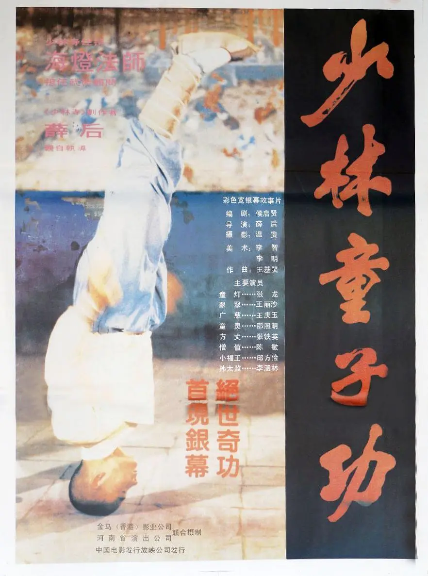 少林童子功1984[电影解说]海报