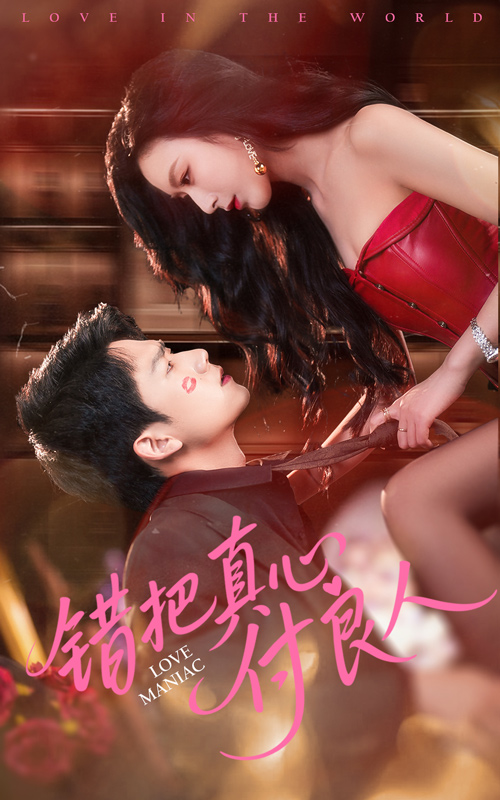 错把真心付良人海报
