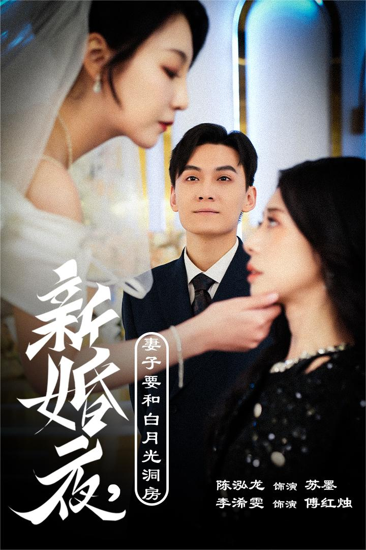 新婚夜,妻子要和白月光洞房海报