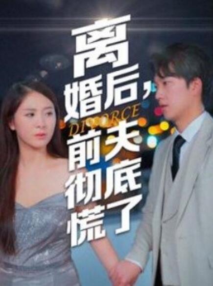 离婚后前夫彻底慌了海报