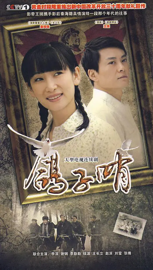 鸽子哨[电影解说]海报