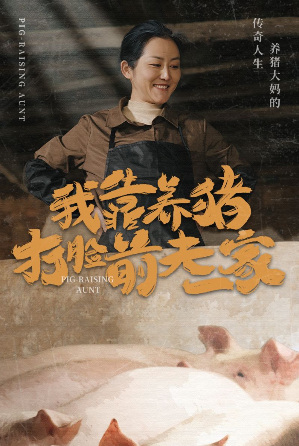 我靠养猪打脸前夫家海报
