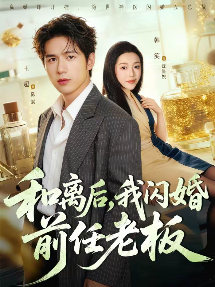 和离后，我闪婚前任老板海报