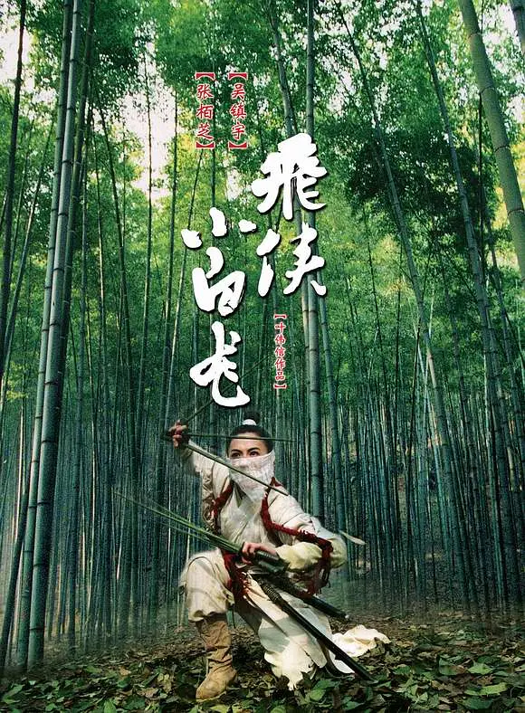 飞侠小白龙[电影解说]海报