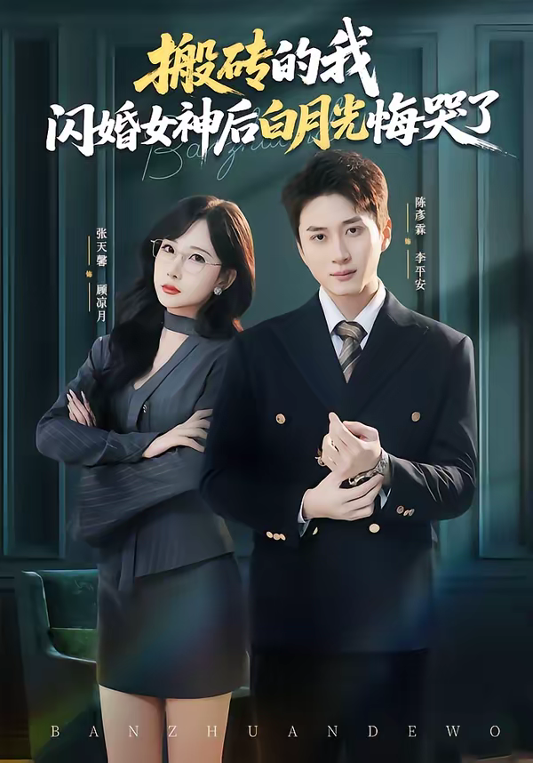 搬砖的我，闪婚女神后白月光悔哭了海报