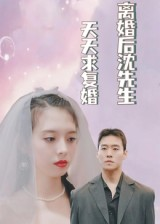 离婚后沈先生天天求复婚海报