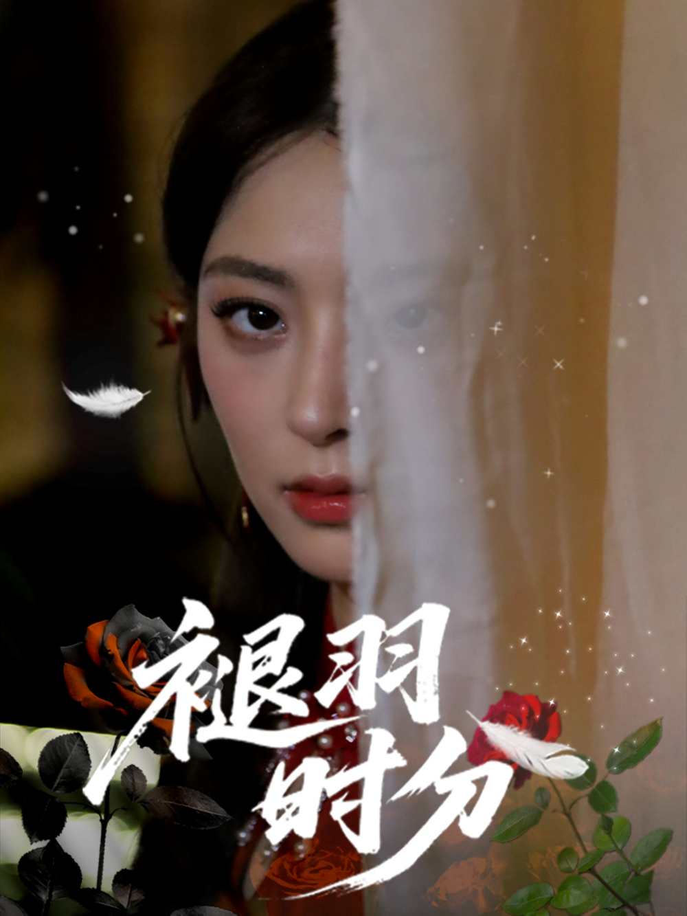 褪羽时分海报