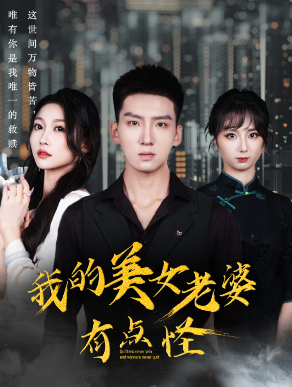 我的美女老婆有点怪海报