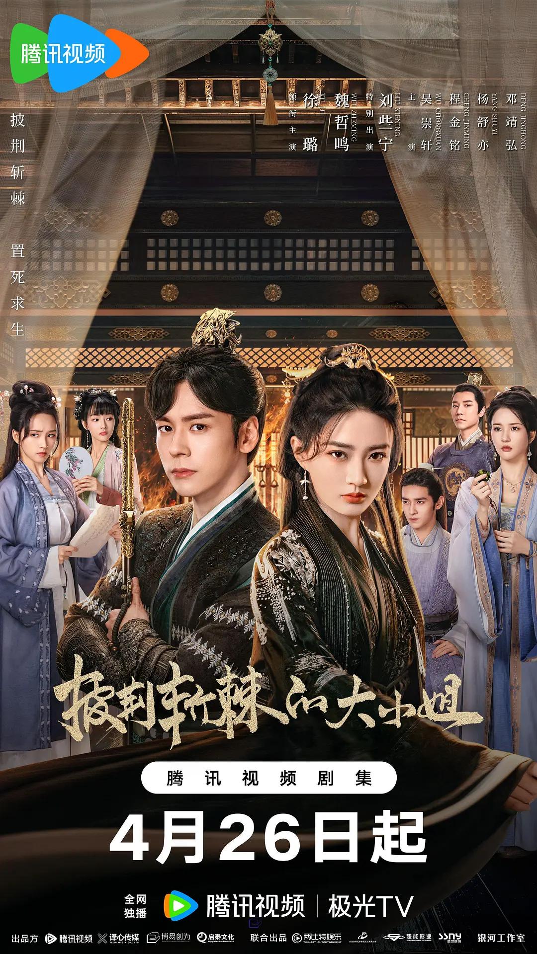 披荆斩棘的大小姐海报