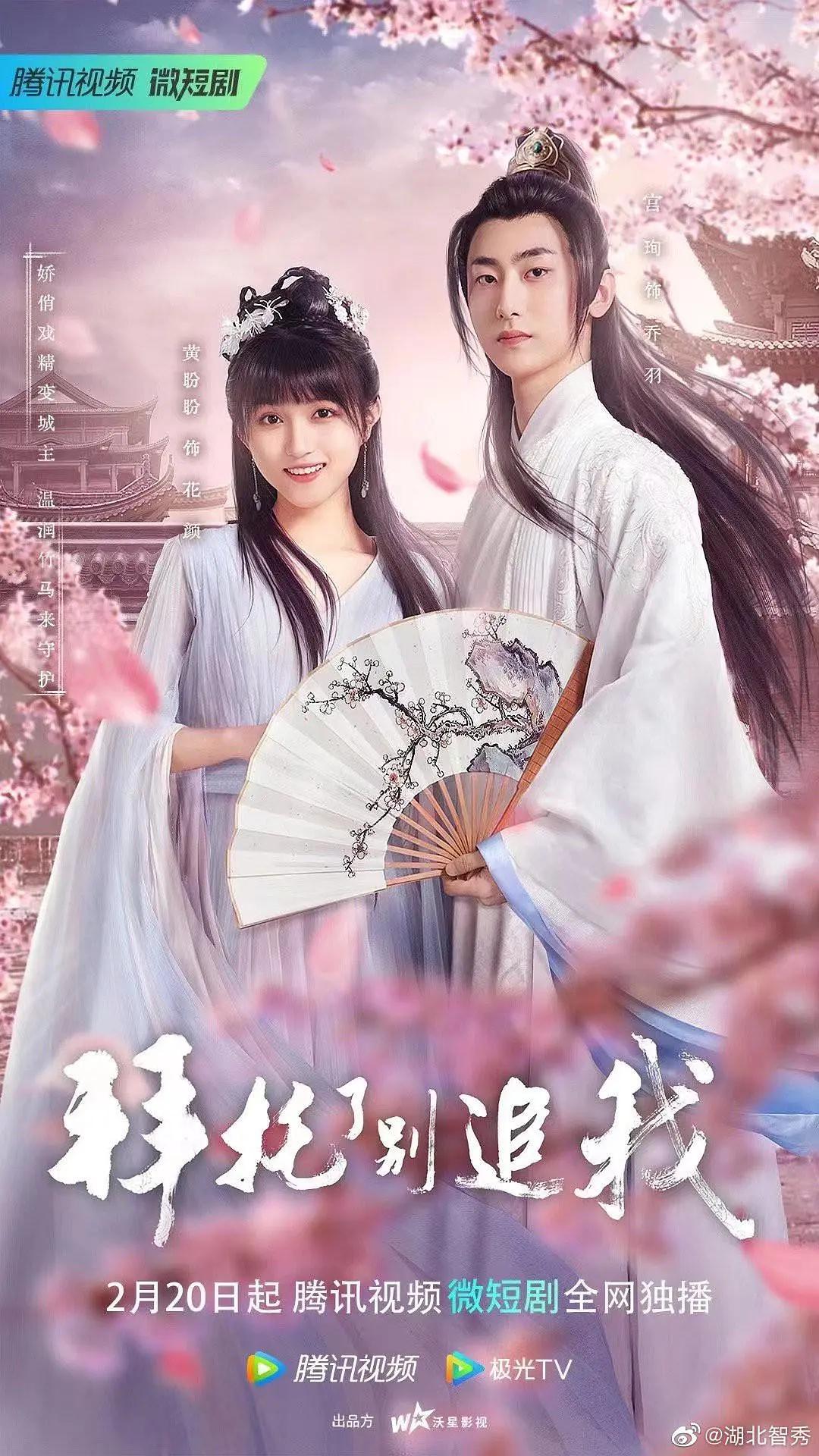 拜托了，别追我海报