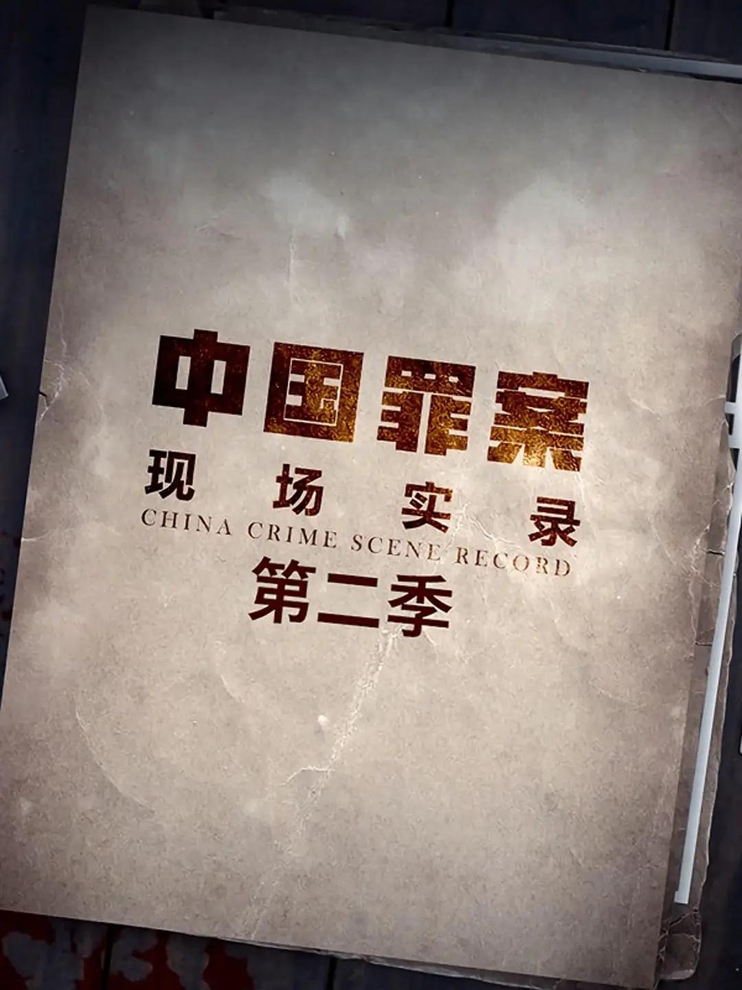 罪案现场实录第二季海报