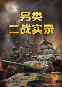 另类二战实录海报