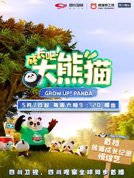 成长吧!大熊猫海报