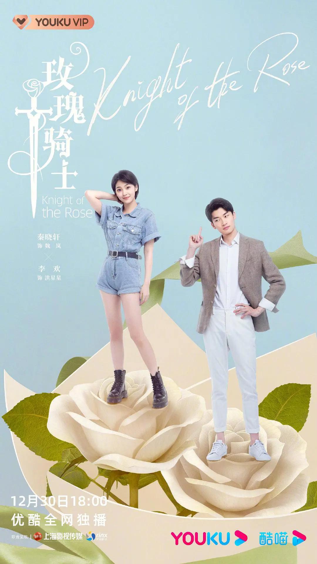 玫瑰骑士海报