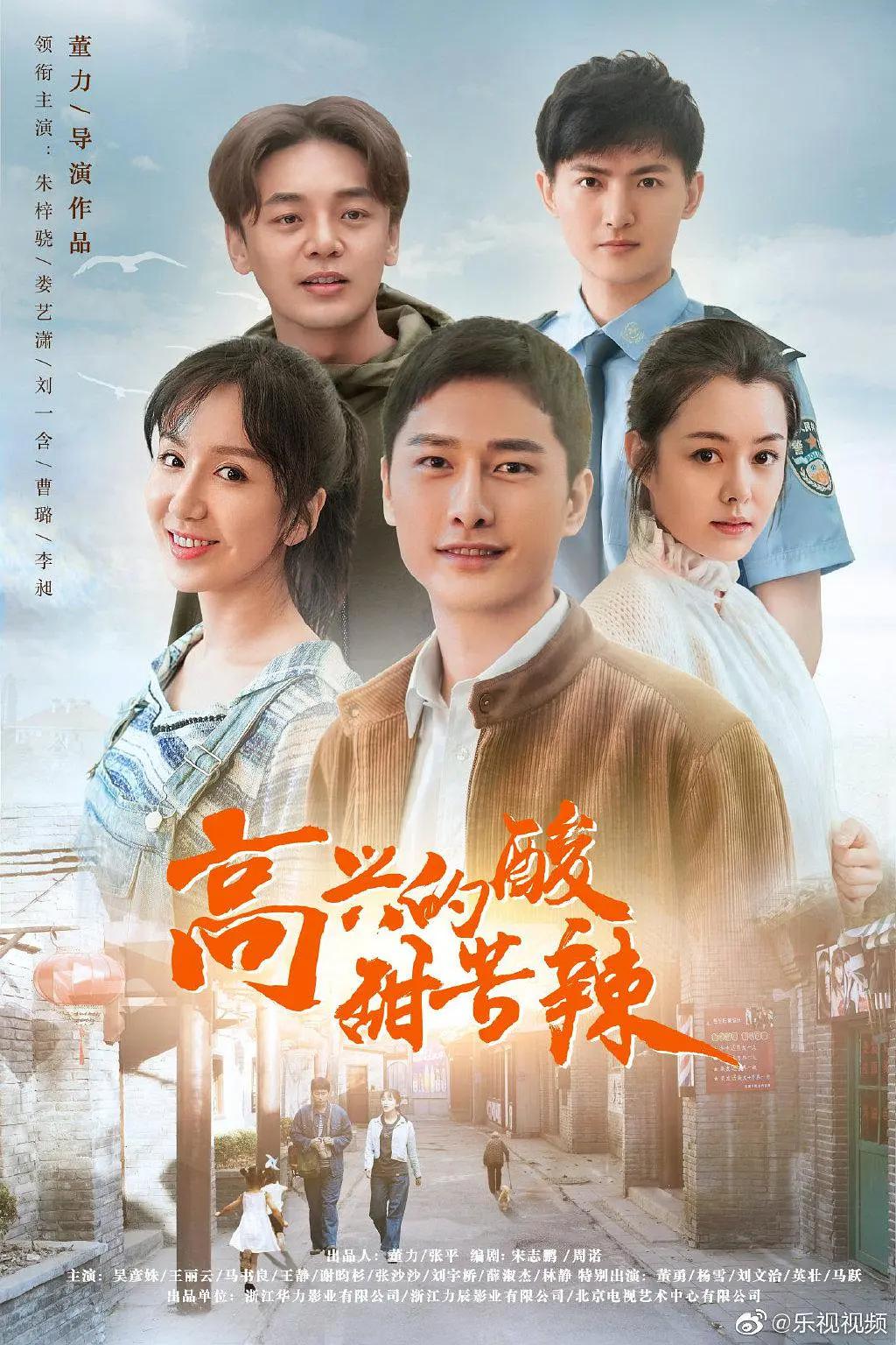 高兴的酸甜苦辣海报