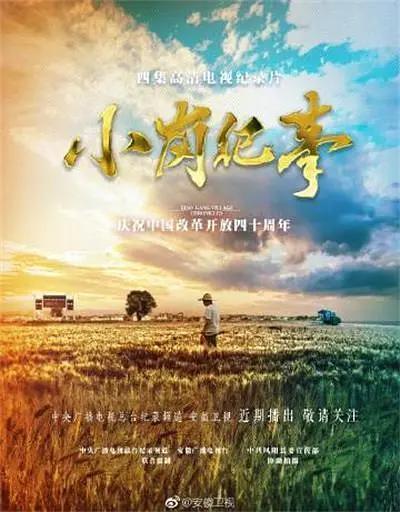 小岗纪事海报